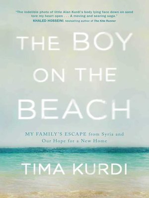 cover image of The Boy on the Beach